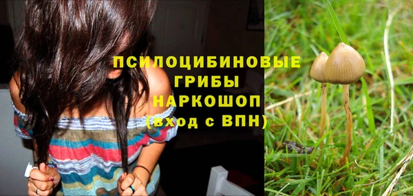 MESCALINE Новозыбков