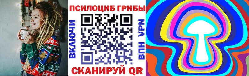 Купить где  Полысаево  Псилоцибиновые грибы Psilocybine cubensis 